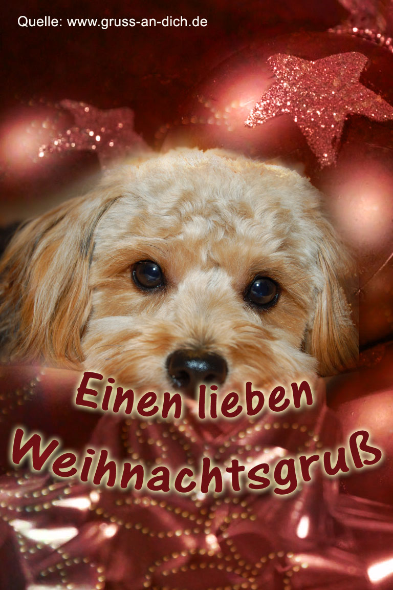 Weihnachtskarte