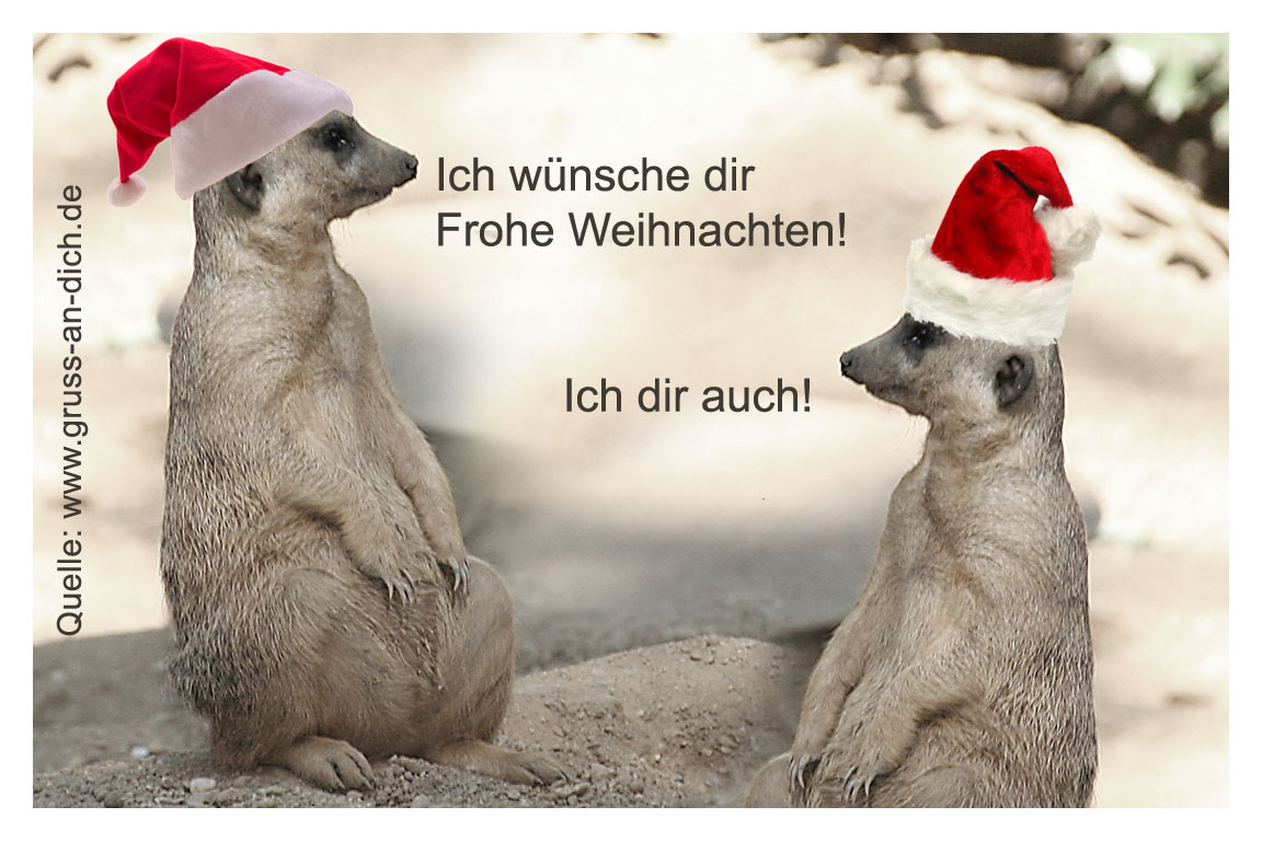 Weihnachtskarte