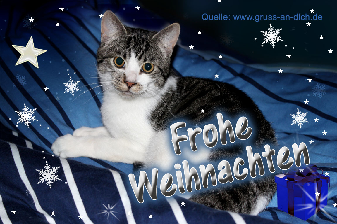 Weihnachtskarte