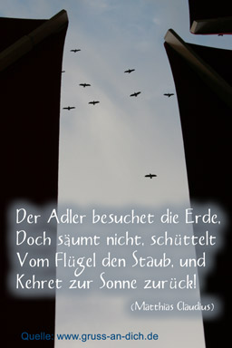 Trauerkarte, Gedicht, Vogel, Text: Der Adler besuchet die Erde ... (Matthias Claudius)