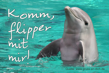 Lustige Karte, Delfin, Wasser, Text: Komm, flipper mit mir!