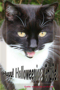Halloween-Karte, Katze, Text: Huuu! Halloweenige Grüße!
