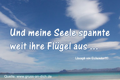 Sprüche liebe urlaubsgrüße Grüße