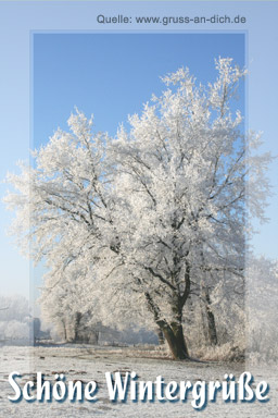 Wintergrußkarte, Bäume, Schnee, Text: Schöne Wintergrüße